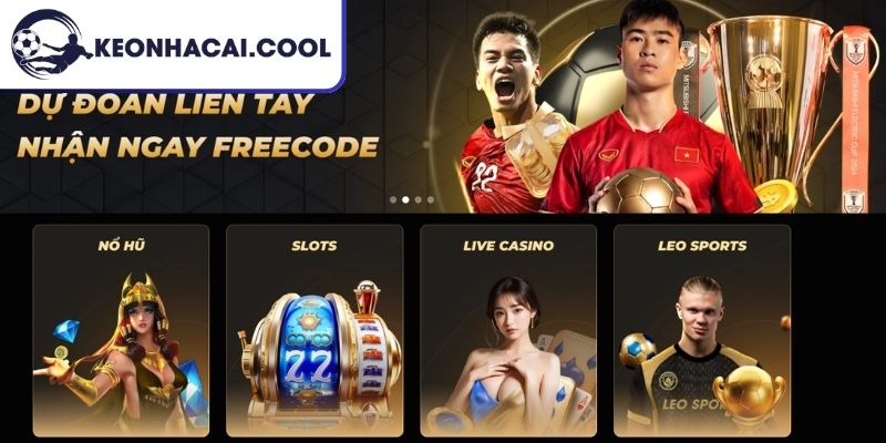LEO88 Có Lừa Đảo Không? Đánh Giá Những Dữ Liệu Phản Hồi 3 Chất lượng công nghệ cao