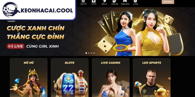 LEO88 Có Lừa Đảo Không? Đánh Giá Những Dữ Liệu Phản Hồi 1 LEO88 có lừa đảo không, góc nhìn từ tiêu chuẩn vận hành