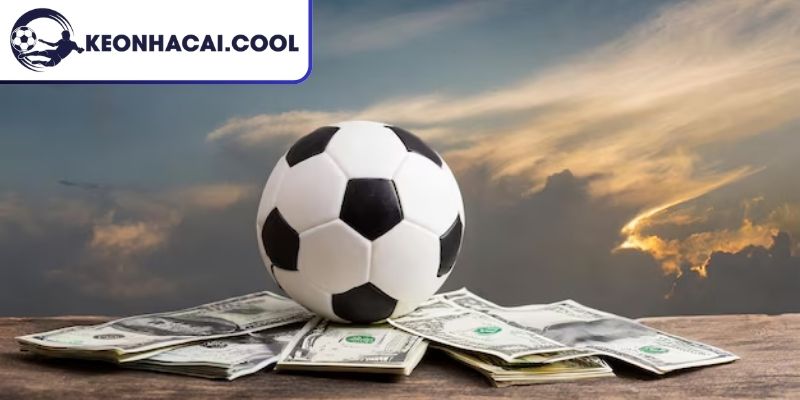 Cách tính tiền cỏ trong cá độ bóng đá theo tỷ lệ 0,5%
