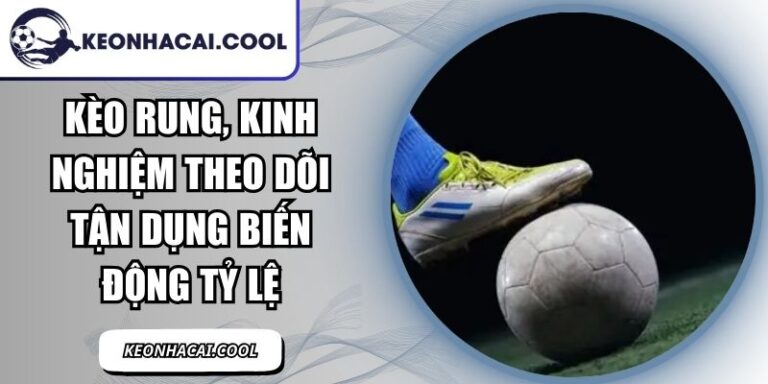 Kèo Rung, Kinh Nghiệm Theo Dõi Tận Dụng Biến Động Tỷ Lệ 8 Kèo Rung