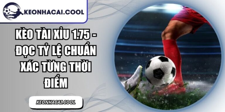Kèo Tài Xỉu 1.75 - Đọc Tỷ Lệ Chuẩn Xác Từng Thời Điểm 4 Kèo Tài Xỉu 1.75